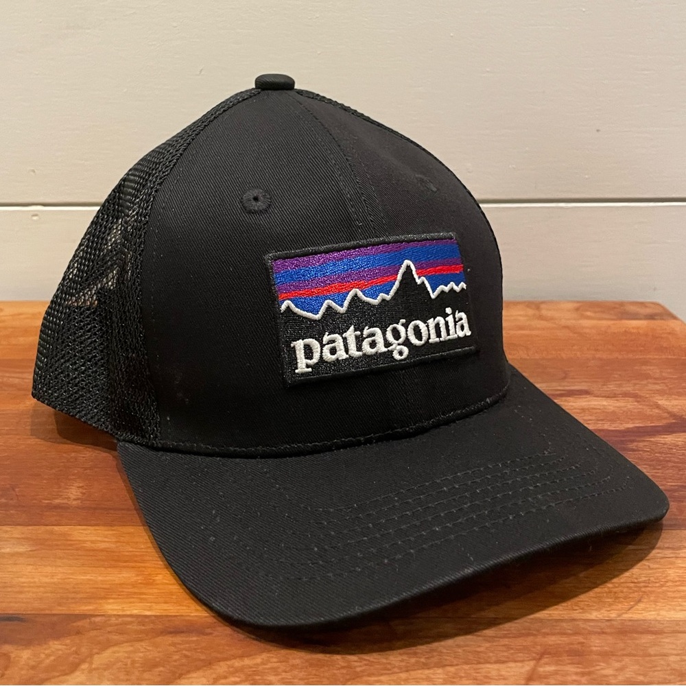 Patagonia Trucker Hat NEW